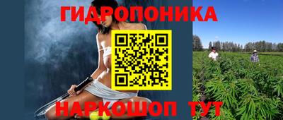 стафф Кимры