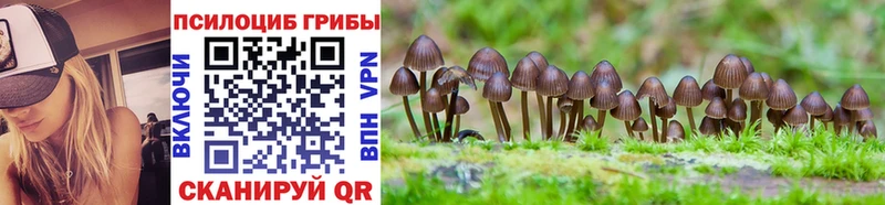 Псилоцибиновые грибы Cubensis  дарнет шоп  Старый Оскол 