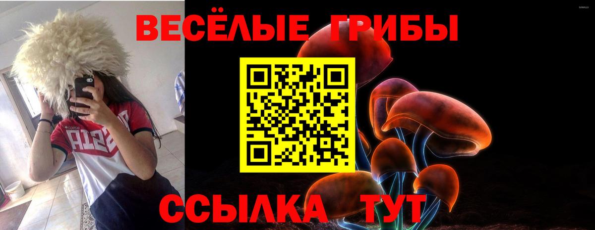 Галлюциногенные грибы Cubensis  Псилоцибиновые грибы MAGIC MUSHROOMS  Старый Оскол  Вход с VPN 